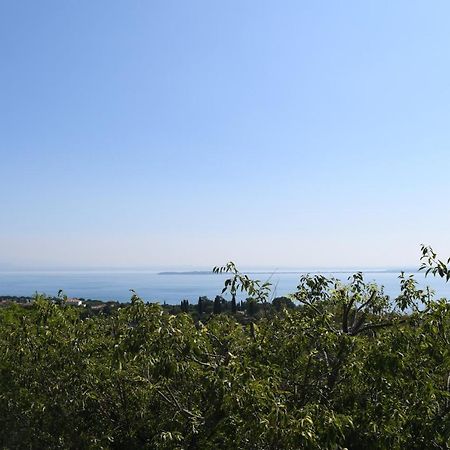 Alice'S Nest-Lake View House Padenghe sul Garda Eksteriør billede